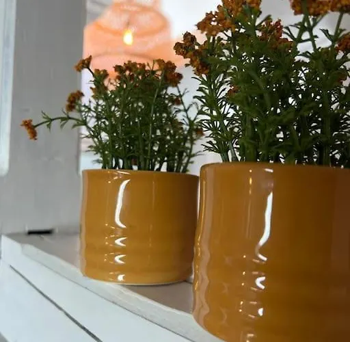 Geschmackvolle 65qm In Nrw 아파트